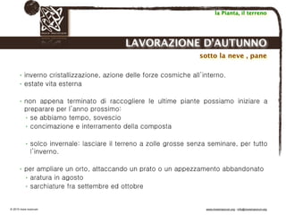 Biodinamica e orticoltura, Progetto Link