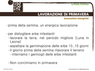 Biodinamica e orticoltura, Progetto Link