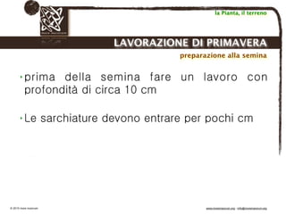Biodinamica e orticoltura, Progetto Link
