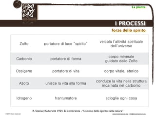 Biodinamica e orticoltura, Progetto Link