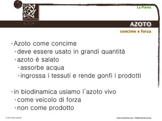 Biodinamica e orticoltura, Progetto Link