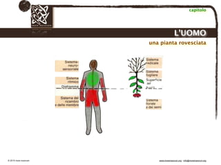 Biodinamica e orticoltura, Progetto Link