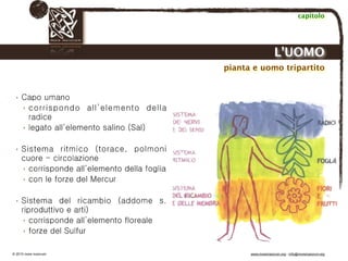 Biodinamica e orticoltura, Progetto Link