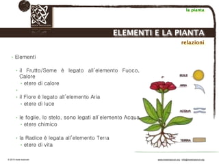 Biodinamica e orticoltura, Progetto Link