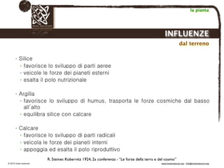 Biodinamica e orticoltura, Progetto Link