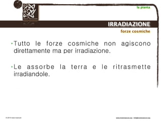 Biodinamica e orticoltura, Progetto Link