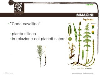 Biodinamica e orticoltura, Progetto Link
