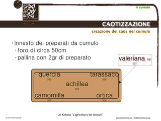 Biodinamica e orticoltura, Progetto Link