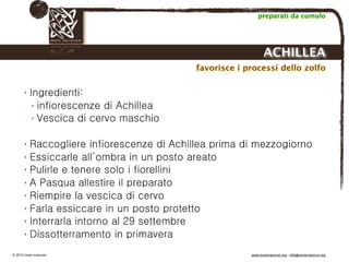Biodinamica e orticoltura, Progetto Link