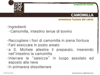 Biodinamica e orticoltura, Progetto Link