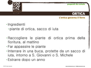 Biodinamica e orticoltura, Progetto Link
