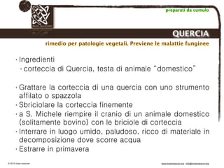 Biodinamica e orticoltura, Progetto Link