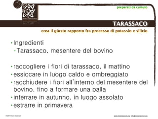 Biodinamica e orticoltura, Progetto Link