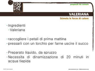 Biodinamica e orticoltura, Progetto Link