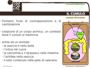 Biodinamica e orticoltura, Progetto Link