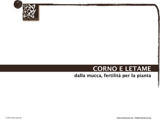 Biodinamica e orticoltura, Progetto Link