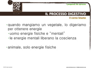 Biodinamica e orticoltura, Progetto Link