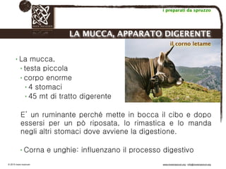 Biodinamica e orticoltura, Progetto Link