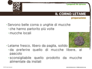 Biodinamica e orticoltura, Progetto Link