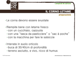 Biodinamica e orticoltura, Progetto Link
