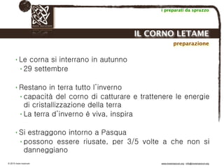 Biodinamica e orticoltura, Progetto Link