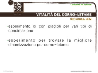 Biodinamica e orticoltura, Progetto Link