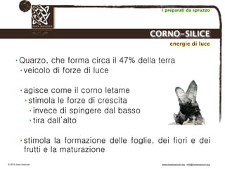 Biodinamica e orticoltura, Progetto Link