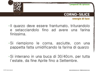 Biodinamica e orticoltura, Progetto Link