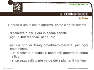 Biodinamica e orticoltura, Progetto Link