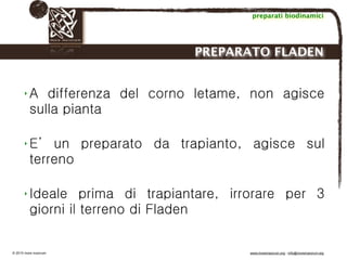 Biodinamica e orticoltura, Progetto Link