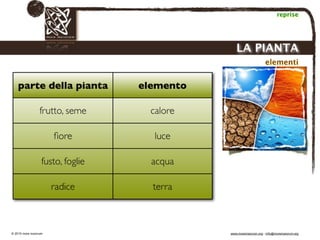 Biodinamica e orticoltura, Progetto Link