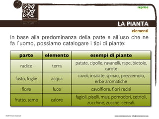 Biodinamica e orticoltura, Progetto Link