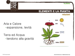 Biodinamica e orticoltura, Progetto Link