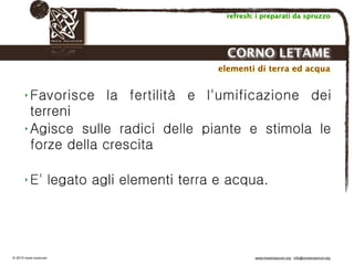 Biodinamica e orticoltura, Progetto Link