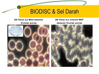 BIODISC & Sel Darah
63 Year old Man drinking   28 Year old athlete NOT
     Vivified water         drinking Vivified water
 