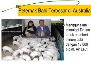 Peternak Babi Terbesar di Australia

                      Menggunakan
                      teknologi Dr. Ian
                      untuk memberi
                      minum babi
                      dengan 13.000
                      p.p.m. Air Laut.
 