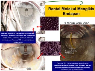 Rantai Molekul Mengikis
                                                       Endapan

                                                               1 tahun kemudian


 Partikel TDS jelas terlihat sebagai partikel
individual. Hilangnya struktur air disebabkan
   proses pompa sehingga memecah struktur
  natural air. Partikel TDS ini menyebabkan
                 pengendapan.




                                                      Partikel TDS (total dissolved solids) telah
                                                   berbentuk struktur kohesif yang natural. Hal ini
                                                    menghentikan proses pengendapan dan mengkikis
                                                           endapan yang telah terbentuk.
 