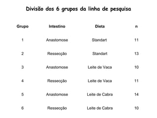 Divisão dos 6 grupos da linha de pesquisa


Grupo         Intestino          Dieta            n


  1          Anastomose         Standart          11


  2           Ressecção         Standart          13


  3          Anastomose       Leite de Vaca       10


  4           Ressecção       Leite de Vaca       11


  5          Anastomose      Leite de Cabra       14


  6           Ressecção      Leite de Cabra       10
 