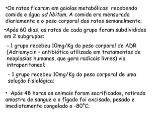 •Os ratos ficaram em gaiolas metabólicas recebendo
comida e água ad libitum. A comida era mensurada
diariamente e o peso corporal dos ratos semanalmente;
•Após 60 dias, os ratos de cada grupo foram subdivididos
em 2 subgrupos:
- 1 grupo recebeu 10mg/Kg do peso corporal de ADR
(Adriamycin – antibiótico utilizado em tratamentos de
neoplasias humanas, que gera radicais livres) via
intraperitoneal;
 - 1 grupo recebeu 10mg/Kg do peso corporal de uma
 solução fisiológica;

• Após 48 horas os animais foram sacrificados, retirada
amostra de sangue e o fígado foi excisado, pesado e
imediatamente congelado a -80°C;
 