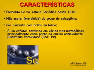 CARACTERÍSTICAS
• Elemento Se na Tabela Periódica desde 1818;

• Não-metal (metalóide) do grupo do calcogênio;

• Cor cinzenta com brilho metálico;
• É um cofator envolvido em várias vias metabólicas,
  principalmente como parte da enzina antioxidante
  Glutationa Peroxidase (GSH-Px).




                                          AQFU, Coppes, 1999.
                                          www.wikipedia.org.br
 