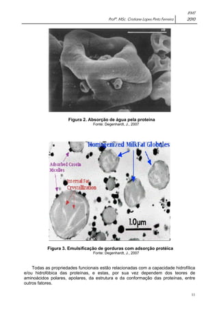IFMT 
Profª. MSc. Cristiane Lopes Pinto Ferreira 2010 
11 
Figura 2. Absorção de água pela proteína 
Fonte: Degenhardt, J., 2007 
Figura 3. Emulsificação de gorduras com adsorção protéica 
Fonte: Degenhardt, J., 2007 
Todas as propriedades funcionais estão relacionadas com a capacidade hidrofílica 
e/ou hidrofóbica das proteínas, e estas, por sua vez dependem dos teores de 
aminoácidos polares, apolares, da estrutura e da conformação das proteínas, entre 
outros fatores. 
 