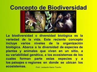 Concepto de Biodiversidad



La biodiversidad o diversidad biológica es la
variedad de la vida. Este reciente concepto
incluye varios niveles de la organización
biológica. Abarca a la diversidad de especies de
plantas y animales que viven en un sitio, a
su variabilidad genética, a los ecosistemas de los
cuales forman parte estas especies y a
los paisajes o regiones en donde se ubican los
ecosistemas.        Profr. Leobardo Ibarra Treviño
 
