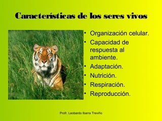 Características de los seres vivos
                            • Organización celular.
                            • Capacidad de
                              respuesta al
                              ambiente.
                            • Adaptación.
                            • Nutrición.
                            • Respiración.
                            • Reproducción.

           Profr. Leobardo Ibarra Treviño
 