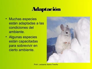 Adaptación
• Muchas especies
  están adaptadas a las
  condiciones del
  ambiente.
• Algunas especies
  están capacitadas
  para sobrevivir en
  cierto ambiente.


                Profr. Leobardo Ibarra Treviño
 