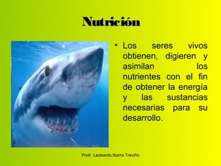 Nutrición
                 • Los     seres    vivos
                   obtienen, digieren y
                   asimilan            los
                   nutrientes con el fin
                   de obtener la energía
                   y    las    sustancias
                   necesarias para su
                   desarrollo.



Profr. Leobardo Ibarra Treviño
 