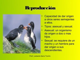 Reproducción
                  • Capacidad de dar origen
                    a otros seres semejantes
                    a ellos.
                  • Tipos: asexual y sexual.
                  • Asexual: un organismo
                    da origen a dos o mas
                    hijos.
                  • Sexual: se requiere de un
                    macho y un hembra para
                    dar origen a sus
                    descendientes.

 Profr. Leobardo Ibarra Treviño
 