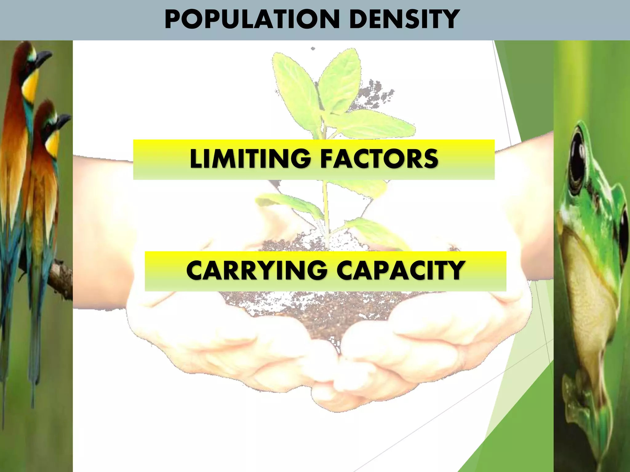 POPULATION DENSITY
LIMITING FACTORS
CARRYING CAPACITY
 
