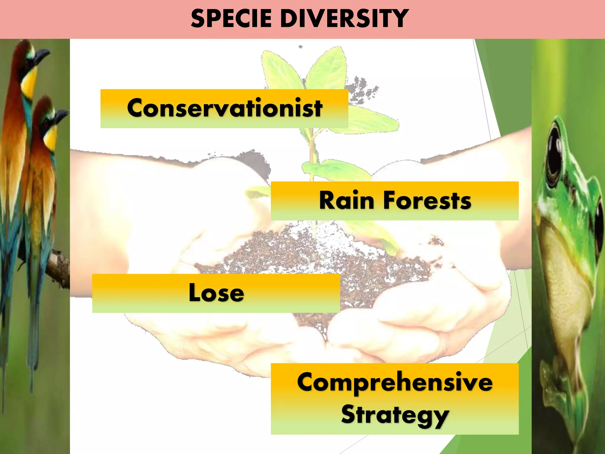 SPECIE DIVERSITY
Conservationist
Rain Forests
Lose
Comprehensive
Strategy
 