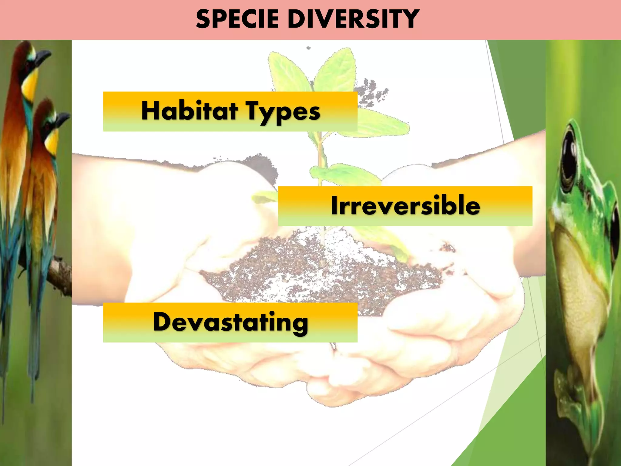 SPECIE DIVERSITY
Habitat Types
Irreversible
Devastating
 