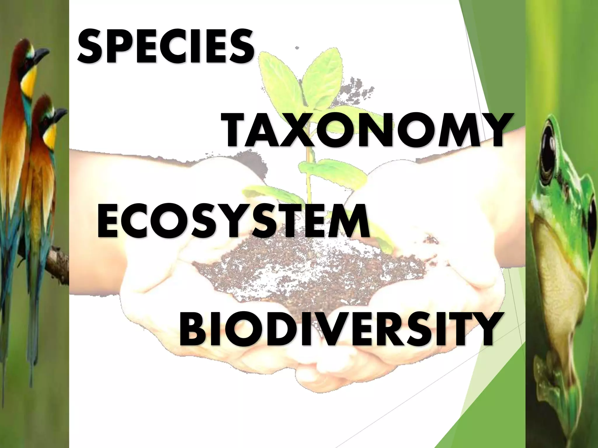 SPECIES
ECOSYSTEM
TAXONOMY
BIODIVERSITY
 